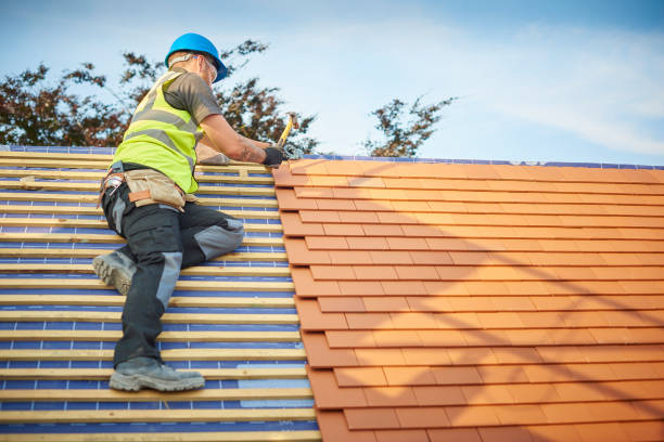 Trusted Dale City, VA Roofing services Experts